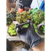 ราคา OPPO A31 มือ2สภาพสวย (23219617327)