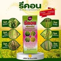 ราคา รีคอน 500ซีซี กำจัดเชื้อรา ไวรัส แบททีเรีย สารชีวภาพ โรคไหม้ โรคใบเหลือง โรคใบแดง โรคกาบใบแห้ง เน่าคอรวง ใบจุด เน่าโคน (8165566778)