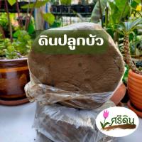 ราคา ดินเหนียว 1 Kg ดินปลูกบัว ดินปั้นกระสุน (25709424668)