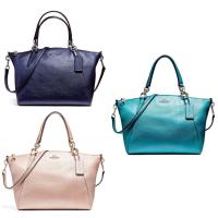 ราคา พร้อมส่ง✨Coach พัด เล็ก✨หนังเมทาลิก✨ (877295248)