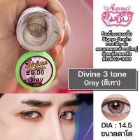 ราคา บิ๊กอายตาโต บิ๊กอายสีเทา/รุ่นPretty doll contact lens สวยทุกลาย แถมตลับฟรี!!! (18660304140)