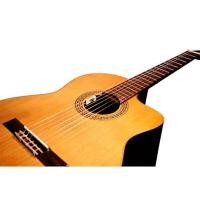 ราคา ปิ๊กอัพ L.R. Baggs Anthem SL for Classical / Nylon (10894259531)