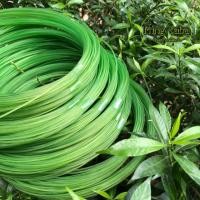 ราคา ▥﹉✱สายเอ็นทำครืน เบอร์120 สีเขียว10ม้วน สายเอ็นทำครืนแขวนดักนกกวักดักนกอีลุ้ม เอ็นทำครืนไก่ป่า สายเอ็นทำครืนพังพอน (5892694788)