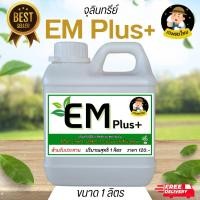 ราคา หัวเชื้อจุลินทรีย์ EM Plus+ อีเอ็มพลัส+ กำจัดกลิ่น หมักปุ๋ย บำบัดน้ำ ใช้ย่อยสลาย ขนาด 1ลิตร ดับกลิ่นส้วม บำรุงพืชผัก ดับ (24989091805)
