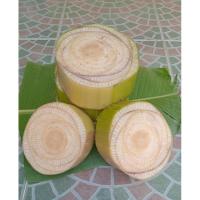 ราคา JK CURTAIN ต้นกล้วย หยวกกล้วย ( 1ชุด =3อัน) #หยวกกล้วยทำกระทงหรือพานพุ่ม#หยวกกล้วยธรรมชาติ (26716205134)