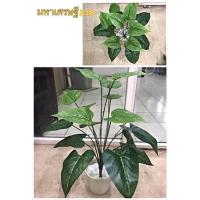 ราคา ใบไม้ประดิษฐ์ ต้นไม้ปลอม ต้นไม้ประดิษฐ์ ใบไม้ปลอม ตกแต่งสวน สวนแนวตั้ง ใบไม้ประดับ ใบไม้ประดิษฐ์ ใบไม้พลาสติก (22205446116)