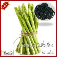 ราคา 50 เมล็ด หน่อไม้ฝรั่ง เมล็ดหน่อไม้ฝรั่ง เมล็ดหน่อไม้ฝรั่ง หน่อไม้ฝรั่ง (25013258748)