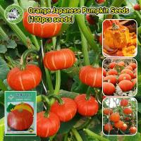 ราคา ปลูกง่าย ล็ดฟักทองญี่ปุ่นสีส้ม เมล็ดพันธุ์ฟักทองญี่ปุ่นสีส้ม Orange Japanese Pumpkin Seeds เมล็ดพันธุ์ ฟักทองญี่ปุ่น (28881448022)