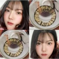 ราคา คอนแทคเลนส์ รุ่น Sapphire/Frong/Pearl/Naomi/Dearly สีเทา/ตาล Gray/Brown มีค่าสายตา (0.00) สวยปัง (27484892494)