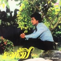 ราคา แผ่นเสียง โดย ธานินทร์ อินทรเทพ และอัมพร ประสมศิลป์ (3742709853)