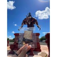 ราคา รกช้าง ของดีบ้านช้าง (19992942314)