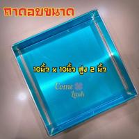 ราคา ถาดอบขนมขนาด10นิ้วx10นิ้วสูง2นิ้ว ถาดอบขนมอลูมิเนียม ทรงสี่เหลี่ยมจัตุรัส ถาดอลูมิเนียม หนา 0.4 mm (10823743751)