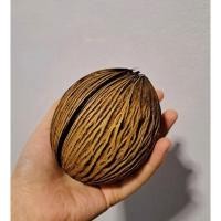 ราคา ลูกตีนเป็ดน้ำ ราคา ถูก มาก (41801251569)