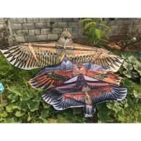 ราคา ว่าวไล่นก เหยี่ยวไล่นก อินทรีย์ไล่นก (5304712803)