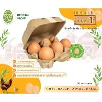 ราคา ไข่ไก่ The Good Egg กู๊ดเอ้ก 6 ฟอง ไข่ไก่ปลอดสาร ไข่ไก่อนามัย ไม่ใช้ยาปฏิชีวนะ ไม่ใช้ฮอร์โมน สดจากฟาร์ม ไข่ไก่ Cage Free (43718246643)