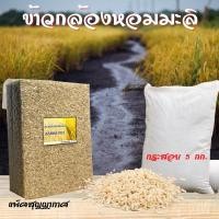 ราคา ข้าวกล้องหอมมะลิใหม่ อินทรีย์ ปลอดสาร แพ็คสุญญากาศ 1 กก. (13127332201)
