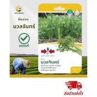 ราคา เมล็ดพันธุ์ ”ขึ้นฉ่าย นวลจันทร์“ (45850644055)