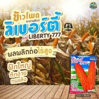 ราคา เมล็ดข้าวโพดอาหารสัตว์ ลิเบอร์ตี้ 777 ตราตะวันต้นกล้า ขนาด1กิโลกรัม เมล็ดข้าวโพด เมล็ดพันธุ์ข้าวโพด (44454522217)