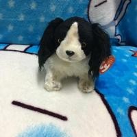 ราคา ตุ๊กตาน้องหมา ty (649834976)