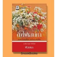 ราคา ดั่งไฟเสน่หา ชุด รักดั่งไฟ โดย ฟีลิปดา (มือสอง) (1997745665)