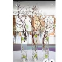 ราคา กิ่งไม้แห้งสำหรับปักแจกันกิ่งไม้แต่ละกิ่งจะมีความงามไม่เหมือนกัน (26907522155)