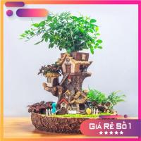 ราคา กระถางต้นไม้บอนไซ กระถางต้นไม้บอนไซ กระถางต้นไม้ประดับ (24129583426)