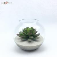 ราคา สวนโหลแก้ว ต้นไม้ปลอมมินิมอล แคคตัสปลอมในโหลแก้ว (6954931317)