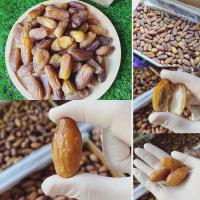 ราคา อินทผาลัม1กก.อินทผาลัมเดทเรทนัวร์ หวาน ฉ่ำ สด ใหม่ ทุกเม็ด อินทผลัม เนื้อแน่น ผลไม้อบแห้ง ผลไม้ อาหาร กินเล่น ธัญพืช (5863170189)