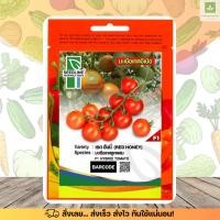 ราคา SL มะเขือเทศ อีเป๋อ เรด ฮันนี่ ลูกผสม tomato 40เมล็ด เมล็ดมะเขือเทศ (29781285358)