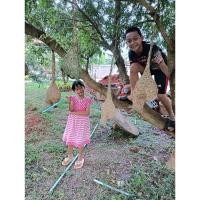 ราคา รังนกกระจาบ 3 รัง สวยๆๆๆ (28474878772)