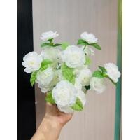 ราคา ดอกมะลิ ดอกมะลิกระถางใหญ่วินเทจวันแม่ กระถางดอกมะลิพุ่มใหญ่ สวย มีสไตน์ กระถางดอกมะลิสวยๆๆดอกแน่นๆๆ (23341383108)