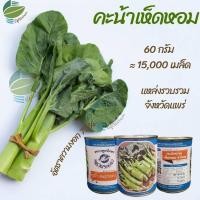 ราคา คะน้าเห็ดหอม คะน้าหวาน 60 กรัม (15469969654)