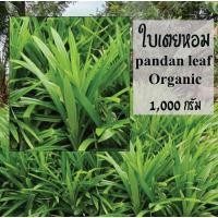ราคา ใบเตยสด ใบเตยทำขนม เตยหอม ต้มน้ำใบเตย ทั้งต้น เตยในสวน เตยหอม ออแกนิก ขนาด1กิโลกรัม (41013887756)