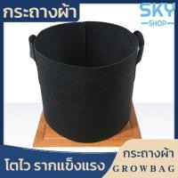 ราคา SKY กระถางผ้า ถุงผ้าปลูกต้นไม้ สีดำ ถุงปลูกต้นไม้ กระถางปลูกต้นไม้ กระถางต้นไม้ โตไว รากแข็งแรง มีหูหิ้ว Grow Bags (44411138856)
