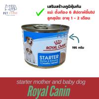 ราคา Royal canin starter mother and baby dog อาหารสัตว์ อาหารแม่หมา อาหารลูกหมา (28720924400)