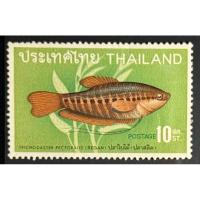 ราคา 2511 แสตมป์ชุดปลาไทย (ชุด 2) 10 สต. ยังไม่ใช้ (27903563010)