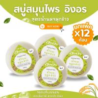 ราคา สบู่สมุนไพร อิงอร สูตรน้ำนมข้าว 160 กรัม แพ็ค 12 ก้อน (16299519514)