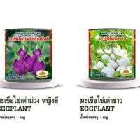 ราคา เมล็ดพันธุ์ มะเขือม่วงไข่เต่า&และขาวไข่เต่า(40กรัม)มะเขือม่วง (24401369198)