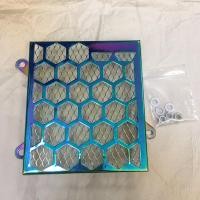 ราคา ตะแกรงหม้อน้ำ CLICK(ตัวเก่า) (20552639945)