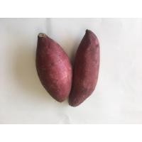 ราคา มันหวานสายพันธุ์ซีลค์สวีท (Slik sweet) ปลูกในไทย โดยไร่นายจันทร์ บรรจุ 2 กิโลกรัม (41068913980)