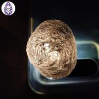 ราคา Highland Agni Manitite Stone Pearl of Divine Fire (น้ําหนัก: 27.9 กรัม)( Natural Pseudo Tektite) (21289186851)