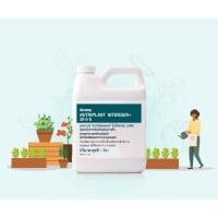 ราคา Amway Nutriplant ปุ๋ยแอมเวย์ นิวทริแพลนท์ ไนโตรเจน พลัส สูตร 30-0-0 ขนาด 1 ลิตร (8703894887)