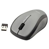 ราคา WIRELESS MOUSE (เม้าส์ไร้สาย) ANITECH Optical Wireless MW315 (7114771634)
