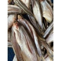 ราคา ปลาสังกะวาด แดดเดียว ปลาแดดเดียว 500 กรัม 1000กรัม (42352373671)