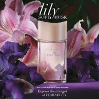 ราคา lily Soft Musk Eau De Toilette spray 50 ml. (2733893918)