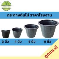 ราคา กระถางพลาสติก ขนาด 3นิ้ว ,4นิ้ว,6นิ้ว,8นิ้ว กระถางสีดำใช้สำหรับปลูกต้นไม้ ใช้ปลูกแคคตัส ใช้ปลูกกระบองเพชร (13840136655)