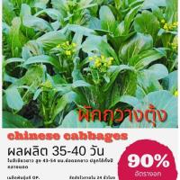ราคา เมล็ดพันธุ์ ผักกาดกวางตุ้ง ผักกวางตุ้งดอก 5000 เมล็ด กวางตุ้ง (ซื้อ 10 แถม 1 คละอย่างได้) (5914542961)