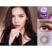 ราคา Mini flora brown พร้อมส่งสายตาปกติ (dreamcolor1) (3578783847)