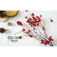 ราคา กิ่งลูกสนทะเล สีแดง (ดอกไม้แห้ง ของจริง) (7470418118)