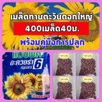 ราคา 400 เมล็ด เมล็ดดอกทานตะวันดอกใหญ่ เมล็ดดอกทานตะวันเมล็ดพันธุ์ เมล็ดทานตะวันชมดอก เมล็ดดอกทานตะวันต้นไม้และเมล็ดพันธุ์ (7431677691)